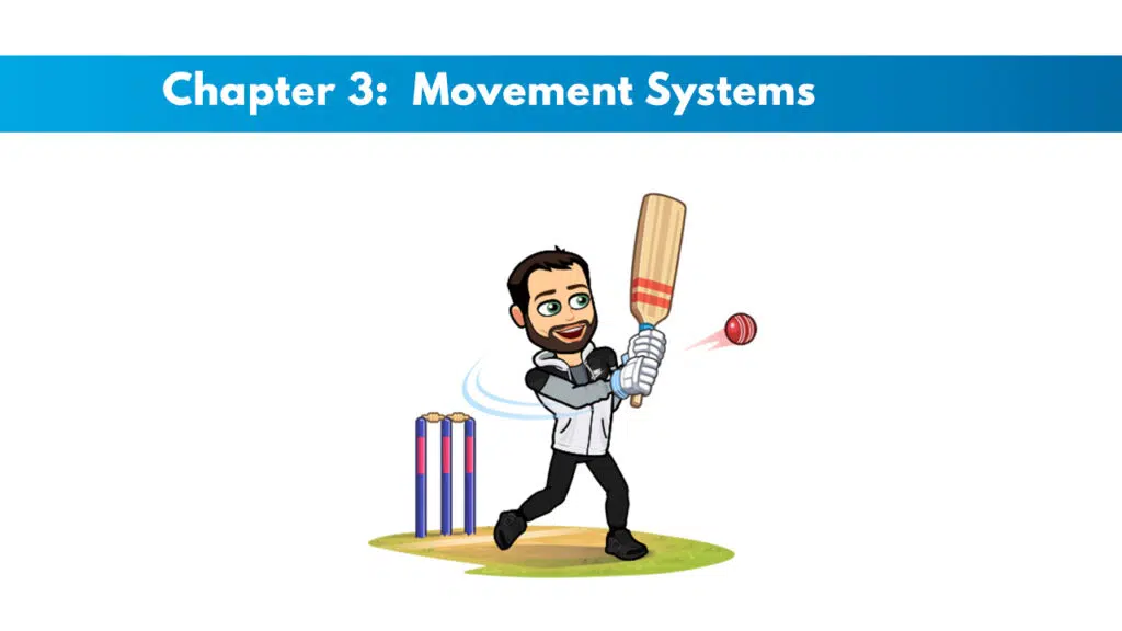 ISSA Chapter 3: Movement Systems 5 ISSA Chapter 3: Movement Systems 5
