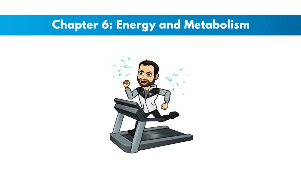ISSA Chapter 6: Energy and Metabolism 1 ISSA Chapter 6: Energy and Metabolism 1