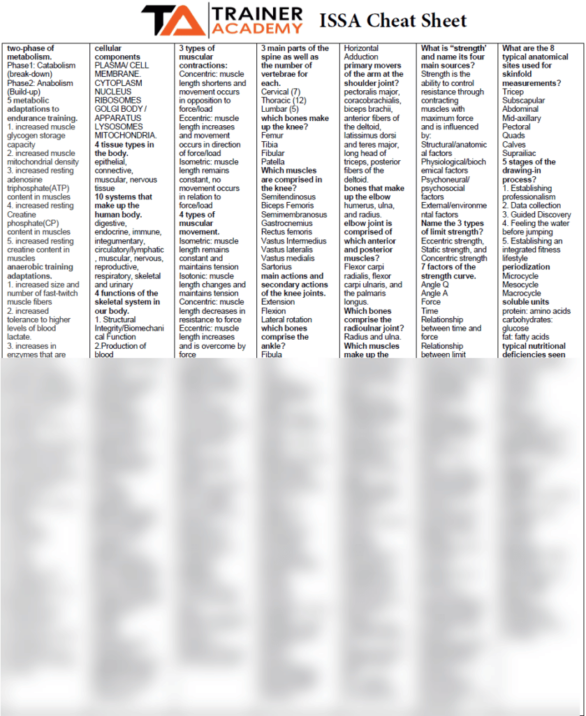 ISSA personal trainer exam cheat sheet with notes on ISSA CPT curriculum