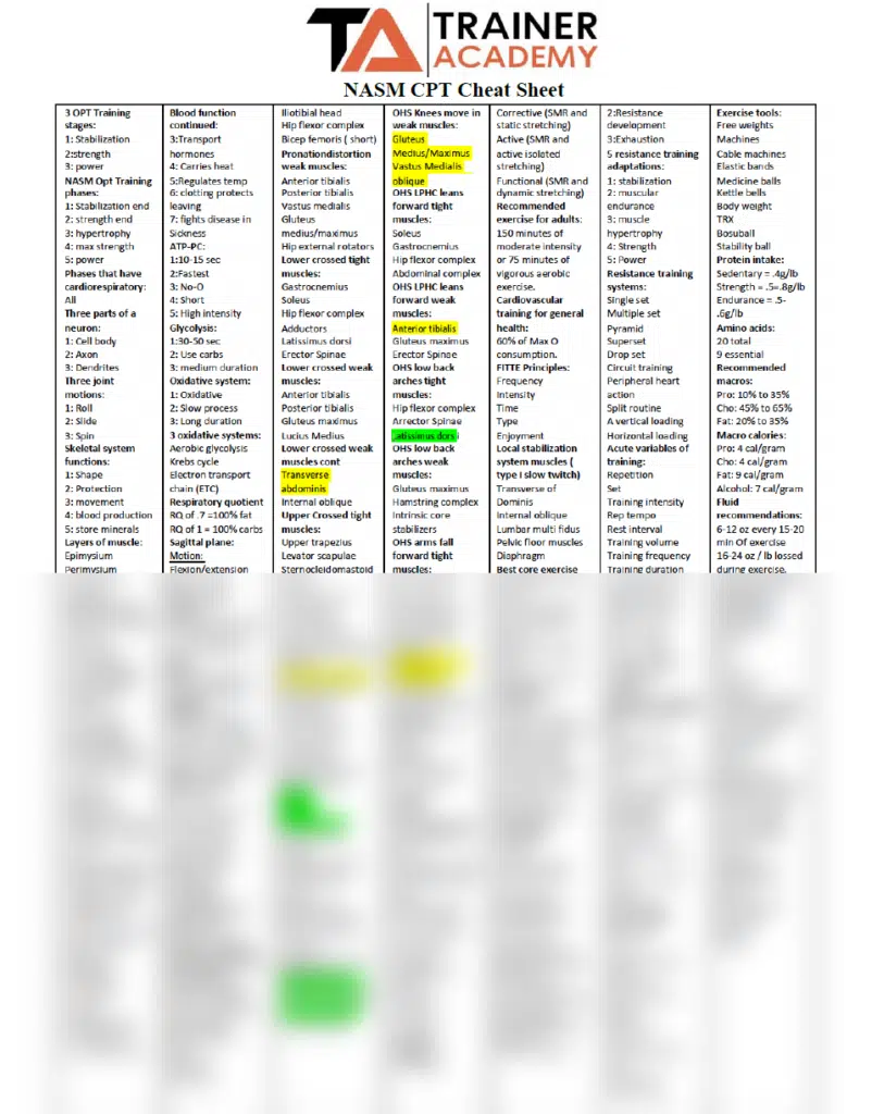 NASM Cheat Sheet for the NASM personal trainer exam - PT Pioneer NASM exam preparation