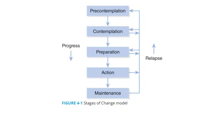 NASM online training review - stages of change model