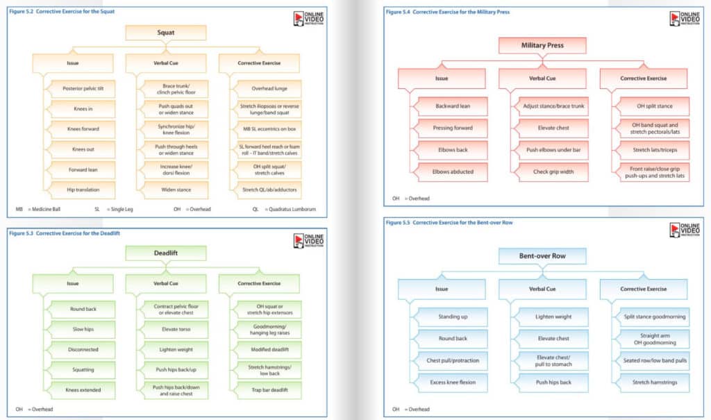 NCSF CSC corrective exercise chart - common errors during major movements and corrective approaches