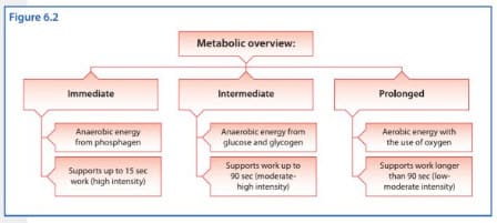 ncsf csc metabolic overview chart - metabolic overview for various intensities