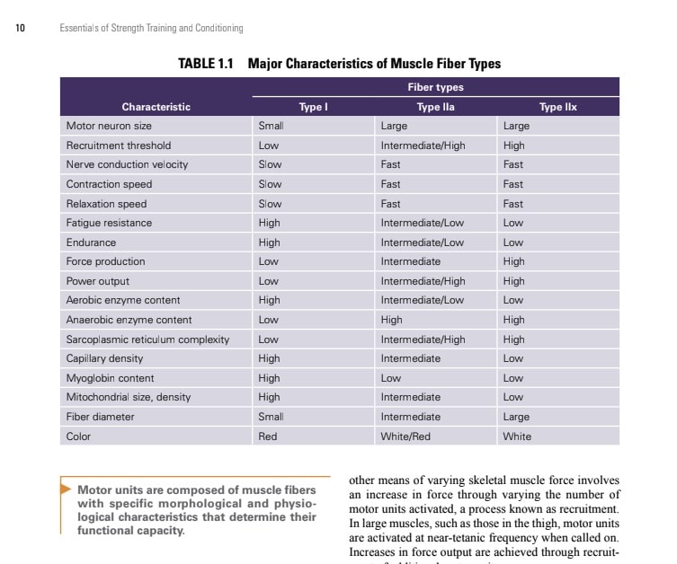 NSCA CSCS vs CPT - textbook image of muscle fiber types