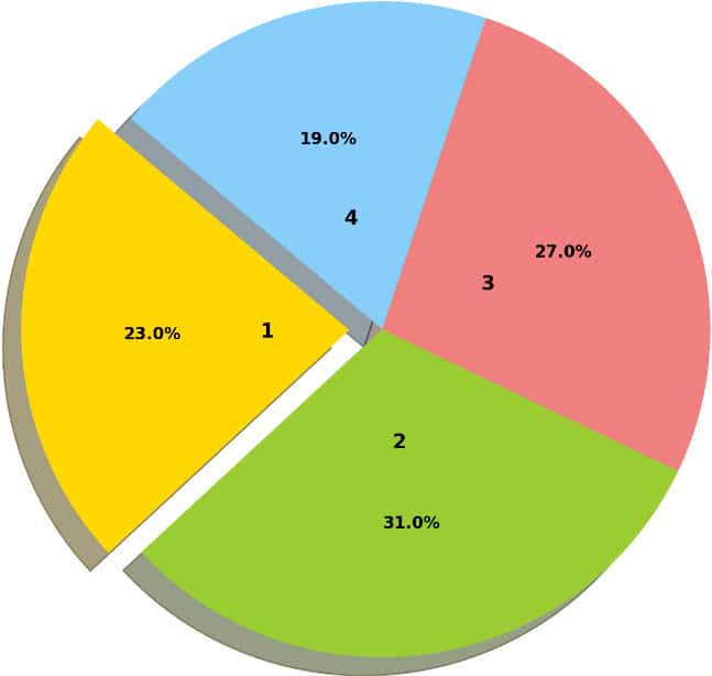 Pie chart detailing the ACE exam domain percentages